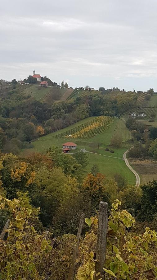 Kuca Za Odmor Nina Villa Sveti Martin Na Muri Eksteriør billede